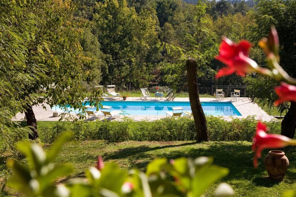 Villa Liz Tuscany, Private Pool, Hot Tub, Property Fenced, Pets Allowed Poppi Ngoại thất bức ảnh